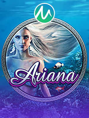 Tampilan casino dress - slot Indonesia